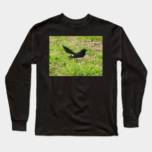 Willie Wagtail Long Sleeve T-Shirt